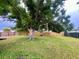 Green backyard showcasing a large tree, grass, and a privacy fence, creating a serene outdoor space at 481 Reading Nw St, Port Charlotte, FL 33952