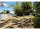 Wide view of the backyard space, enclosed by a white fence and highlighted by a cluster of mature bamboo trees at 233 N New York Ave, Englewood, FL 34223