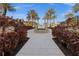 Landscaped walkway leading to the resort style pool with palm trees at 99 Vivante Blvd # 310, Punta Gorda, FL 33950