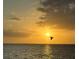 Beautiful sunset over the water with a silhouette of a bird in flight at 1 Colony Point Dr # B20, Punta Gorda, FL 33950