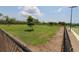Open green space in the dog park, perfect for pets to play and exercise in a secure and welcoming environment at 13256 Creekside Ln, Port Charlotte, FL 33953