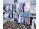 Walk-in closet with organized clothing racks, shelving and carpet at 13295 Eisenhower Dr, Port Charlotte, FL 33953