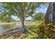 Lake view from the backyard with mature landscaping at 2747 Suncoast Lakes Blvd, Punta Gorda, FL 33980