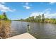 Scenic waterfront view with lush vegetation and a clear blue sky, perfect for nature lovers and peaceful living at 15104 Aldama Cir, Port Charlotte, FL 33981
