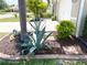 Beautiful landscaping around the home featuring a variety of plants and mulch at 25008 Lalique Pl, Punta Gorda, FL 33950