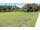 This grassy lot offers an ideal canvas to create a personalized landscape, garden, or new home at 4150 Enclave Pl, Punta Gorda, FL 33980