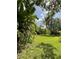 Spacious backyard with lush greenery, creating a tranquil outdoor setting and room to roam at 5727 Beechwood St, Punta Gorda, FL 33982