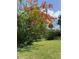 Backyard with lush greenery and vibrant flowers, creating a peaceful and inviting outdoor space at 5727 Beechwood St, Punta Gorda, FL 33982