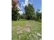 Backyard with lush green lawn and beautiful surrounding trees, offering a private outdoor retreat at 5727 Beechwood St, Punta Gorda, FL 33982
