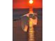 Elegant white heron in flight against a radiant sunset backdrop, epitomizing tranquility at 5727 Beechwood St, Punta Gorda, FL 33982