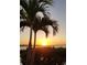 A serene sunset over the ocean with palm trees in the foreground, evoking a peaceful tropical vibe at 5727 Beechwood St, Punta Gorda, FL 33982