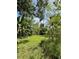 Picturesque green yard surrounded by lush greenery, offering a peaceful and private outdoor retreat at 5727 Beechwood St, Punta Gorda, FL 33982