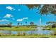 Scenic golf course view with a water feature, palm trees, and blue sky at 1062 Eagles Flight Way, North Port, FL 34287