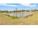 Picturesque pond surrounded by lush greenery, creating a serene natural backdrop for the property at 11088 Pinot Dr, Venice, FL 34293