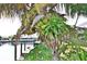 Lush backyard featuring a coconut palm, canal view, and tropical foliage for a serene outdoor experience at 107 Sinclair Se St, Port Charlotte, FL 33952