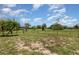 Large fenced backyard featuring mature trees and well-maintained lawn at 1472 Oriel Ct, Punta Gorda, FL 33983