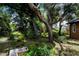 A backyard with tropical foliage and shade trees offering privacy at 3960 Magara Ter, North Port, FL 34287
