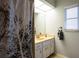 Bright bathroom featuring a vanity with marble countertop, a window, and tree-themed shower curtain at 21220 Pemberton Ave, Port Charlotte, FL 33952