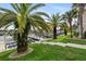 Beautiful backyard featuring lush grass, palm trees, and a canal with boat docks, perfect for waterfront living at 2630 Tarpon Cove Dr # 212, Punta Gorda, FL 33950