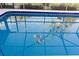 An in-ground pool with a screened enclosure and a decorative mosaic turtle at 372 Cory St, Port Charlotte, FL 33953