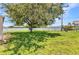 Expansive backyard with lush green grass and a mature shade tree at 4509 Wynkoop Cir, Port Charlotte, FL 33948