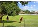 Lovely property featuring lush green grass, mature trees, a white fence, and horses grazing at 5221 Blackjack Cir, Punta Gorda, FL 33982
