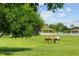 Pastoral image of horses grazing in green pasture with a home visible in the distance at 5221 Blackjack Cir, Punta Gorda, FL 33982