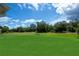 Lush green backyard featuring a vast grass area, perfect for relaxation and play at 591 San Ambrosio St, Punta Gorda, FL 33983