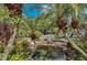 Scenic pond area with a charming bridge, surrounded by lush greenery and tropical foliage creating a tranquil garden at 1318 Red Oak Ln, Port Charlotte, FL 33948