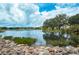 Picturesque view of a pond with lush vegetation and waterfront condominiums at 1318 Red Oak Ln, Port Charlotte, FL 33948