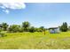 Spacious backyard with ample green space, storage shed and room for activities at 5983 Hobhill Ave, North Port, FL 34287