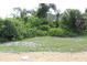 Image shows the wooded backyard of the property at 6689 Gasparilla Pines Blvd, Englewood, FL 34224