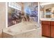 Bathroom boasts a luxurious soaking tub with a waterfall mural at 17125 Canary Ln, Port Charlotte, FL 33948