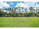A green lawn stretches to the edge of a pond with woods in the background on a bright day at 1722 Amnesty Dr, North Port, FL 34288