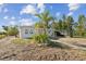 Exterior view of the home with a decorative palm tree at 175 Rodgers Ne Ave, Port Charlotte, FL 33952