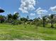 Expansive backyard with lush lawn and array of tropical fruit trees at 21287 Birwood Ave, Port Charlotte, FL 33954