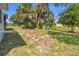 A view of the backyard area with tropical palms at 22219 Catherine Ave, Port Charlotte, FL 33952