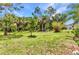 Spacious backyard with lush green grass and a variety of trees and shrubbery at 3305 Nansen Ln, North Port, FL 34286