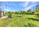 Spacious backyard, manicured lawn, and young palm trees in a peaceful neighborhood setting at 25272 E Lenox Cir, Punta Gorda, FL 33950