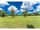 Expansive view of the lush golf course, highlighting the manicured greens, mature trees, and natural beauty of the surroundings at 26254 Stillwater Cir, Punta Gorda, FL 33955