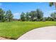 A well-maintained backyard offers plenty of green space and mature trees for outdoor enjoyment at 2736 Suncoast Lakes Blvd, Punta Gorda, FL 33980