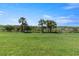Spacious backyard with lush green grass and mature palm trees, perfect for outdoor activities at 2736 Suncoast Lakes Blvd, Punta Gorda, FL 33980