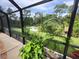 Screened-in pool area offers views of lush greenery and nearby lake at 319 Kindred Blvd, Port Charlotte, FL 33954
