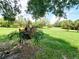 This sprawling yard with unique hanging staghorn fern creates a peaceful outdoor retreat, perfect for relaxation at 3456 Highlands Rd, Punta Gorda, FL 33983