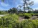 Lush garden area with beautiful landscaping and a shaded structure, creating a serene and inviting outdoor space at 3512 Nekoosa St, North Port, FL 34287