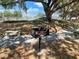 A grill station area under a large oak tree canopy at 3512 Nekoosa St, North Port, FL 34287
