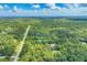 Vast green landscape with scattered homes among lush trees, offering a serene and spacious residential area at 6514 N Biscayne Dr, North Port, FL 34291