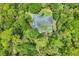 Aerial view of a home with a screened-in pool surrounded by dense trees and greenery at 6514 N Biscayne Dr, North Port, FL 34291