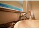 Close-up of a bathroom sink with custom dolphin faucet at 17509 Ohara Dr, Port Charlotte, FL 33948