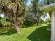 Lush backyard featuring mature trees and a serene view of the adjacent waterway at 464 Rose Apple Cir, Port Charlotte, FL 33954
